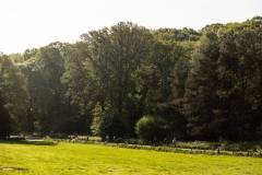 RondevanNijmegenmerlijnSPhotography-0311