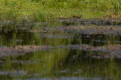 RvN2025-MerlijnSphotography-8516
